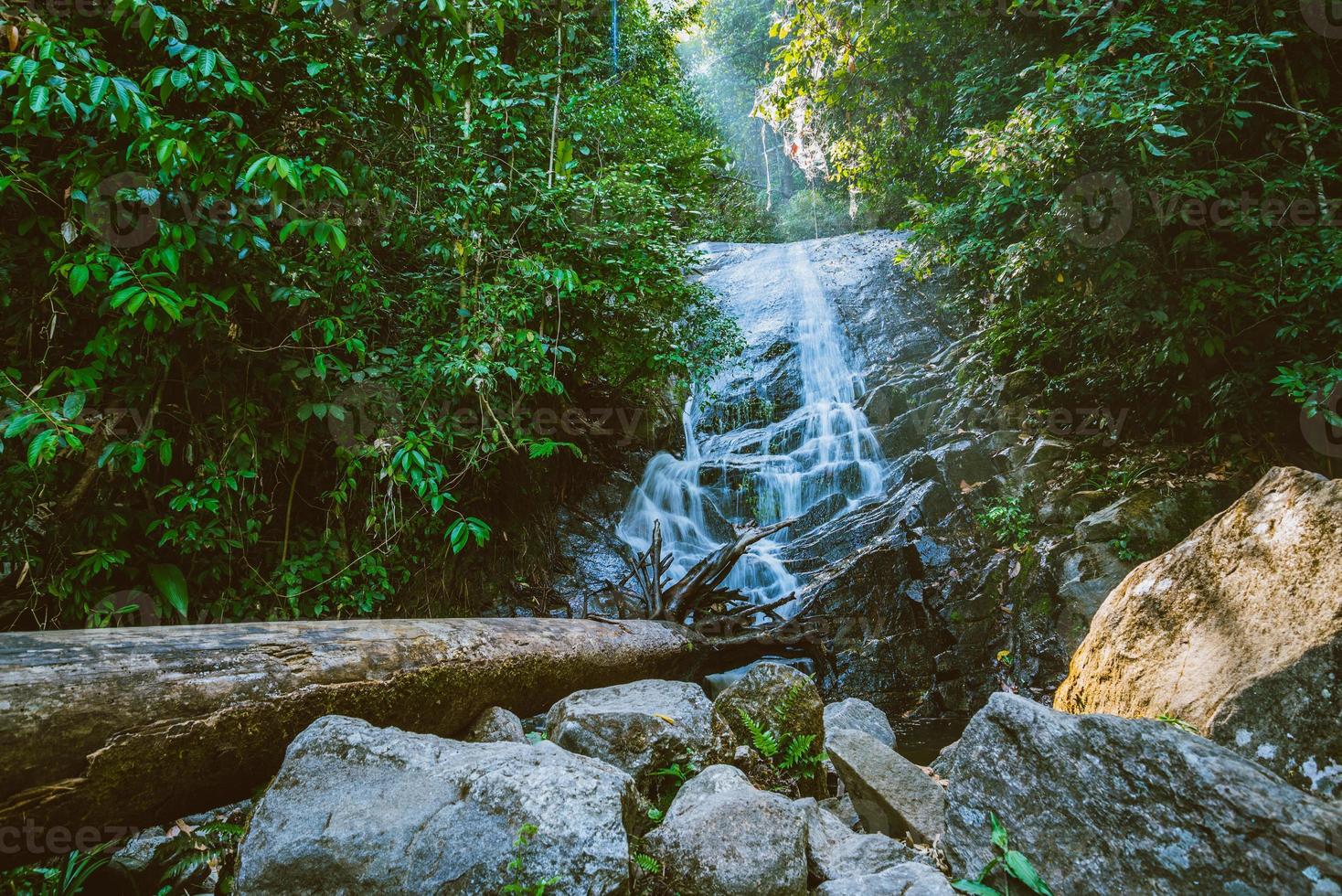 background Wallpaper nature Forest Hill Waterfall. thailand doi inthanon. Travel nature. Travel relax. Siliphum Waterfall. photo