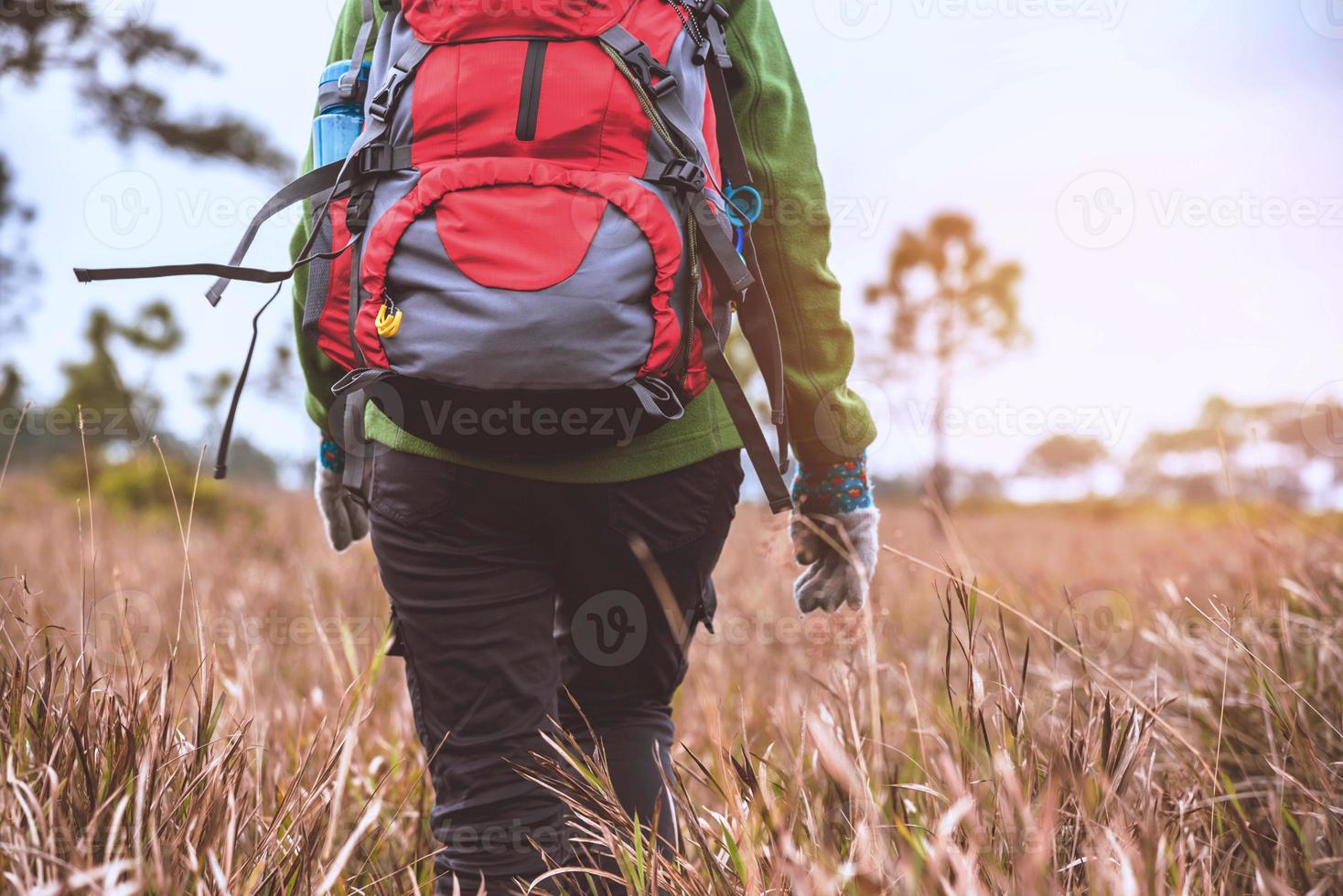 Asian women travel  nature. Travel relax.Backpack walk on the meadow in the forest. Thailand photo