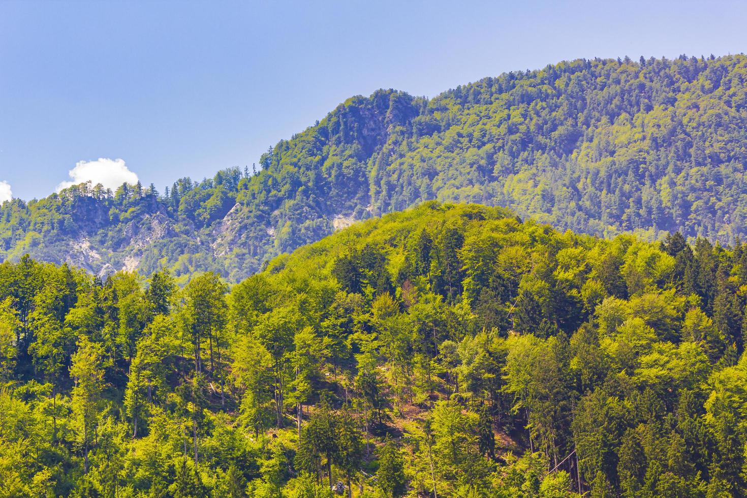 Wonderful mountain and forest landscape with cloudy sky in Slovenia. photo