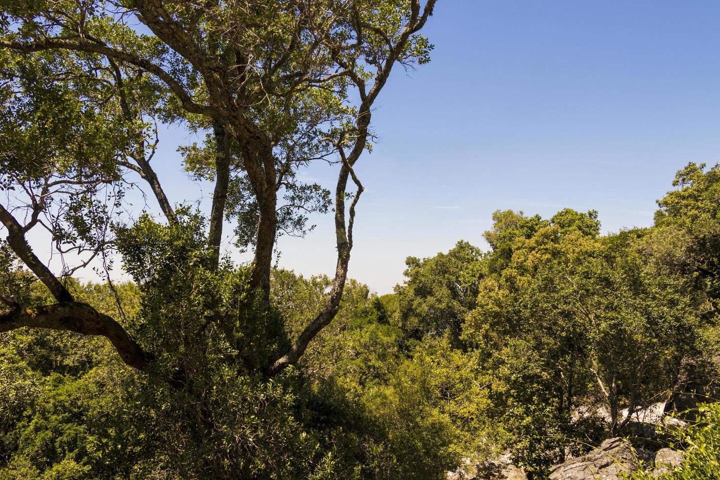 vista desde el parque nacional de table mountain ciudad del cabo. foto