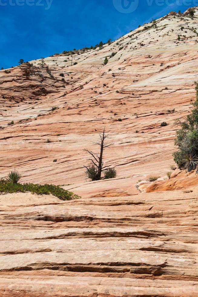 Zion National Park photo