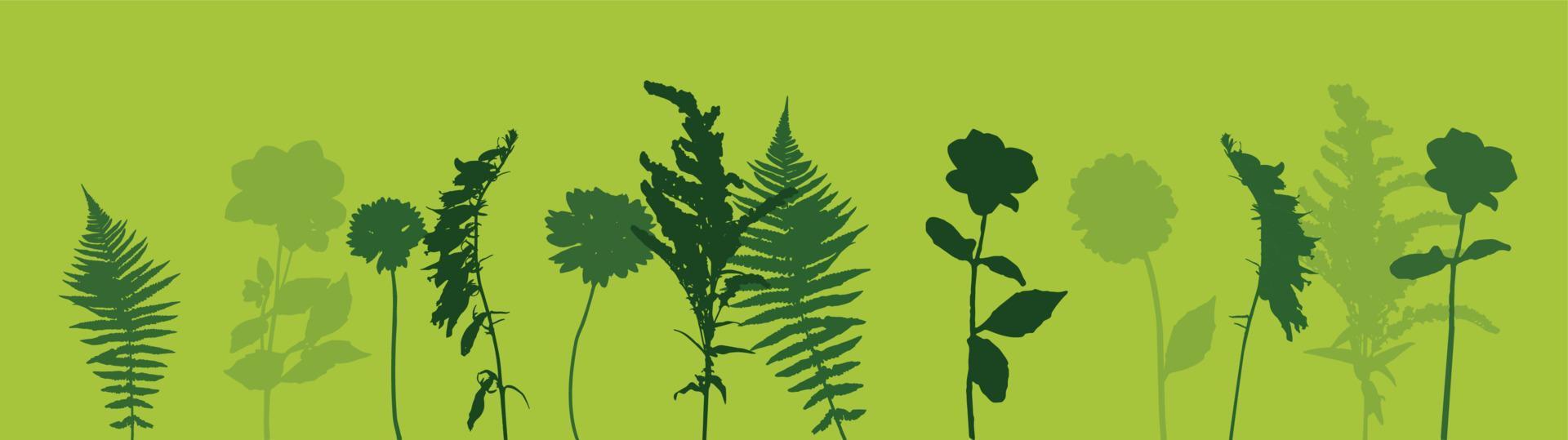 Colorful green twig fern and other plants of nature. Vector Illustration