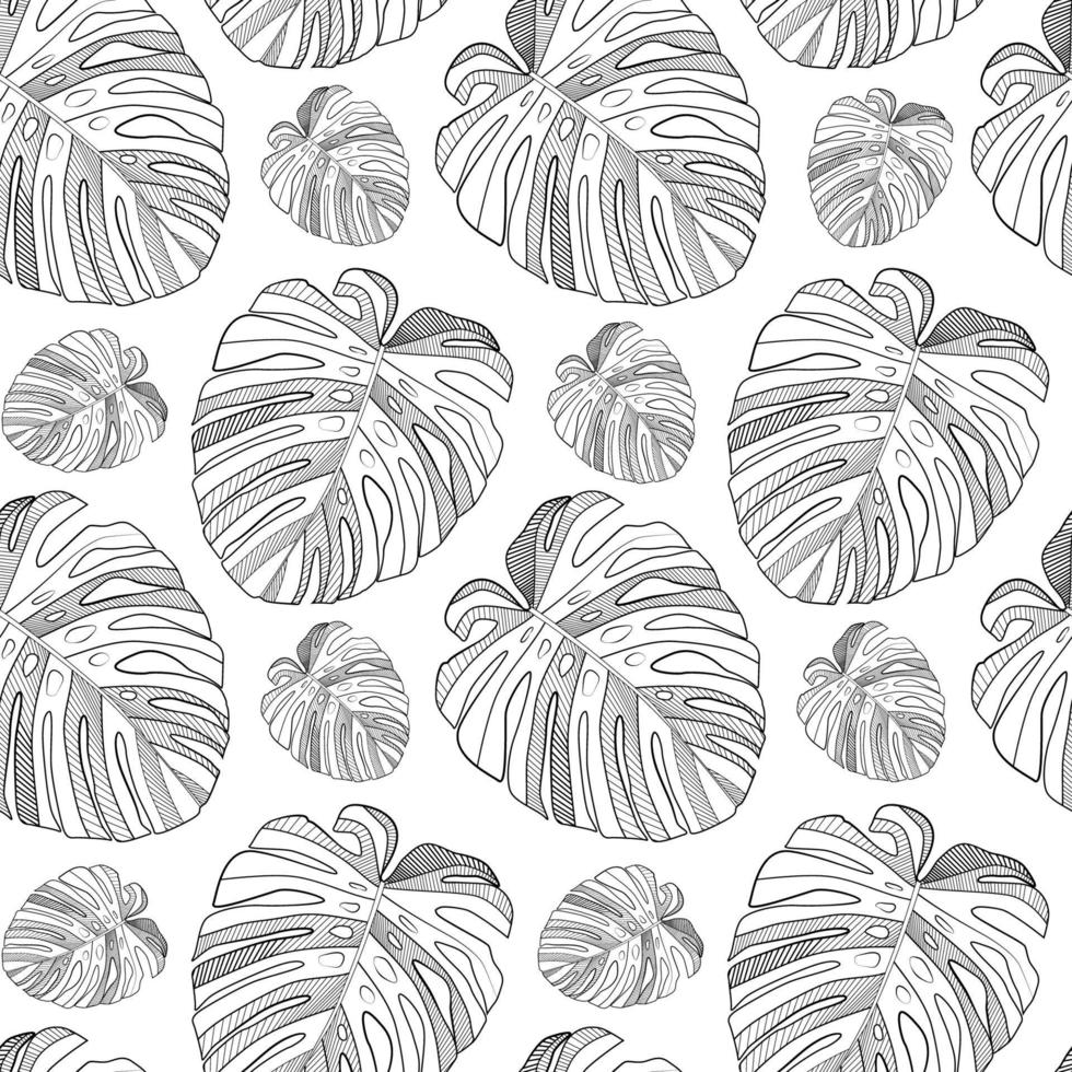 Abstract tropical monstera  leaf seamless pattern background. Vector Illustration