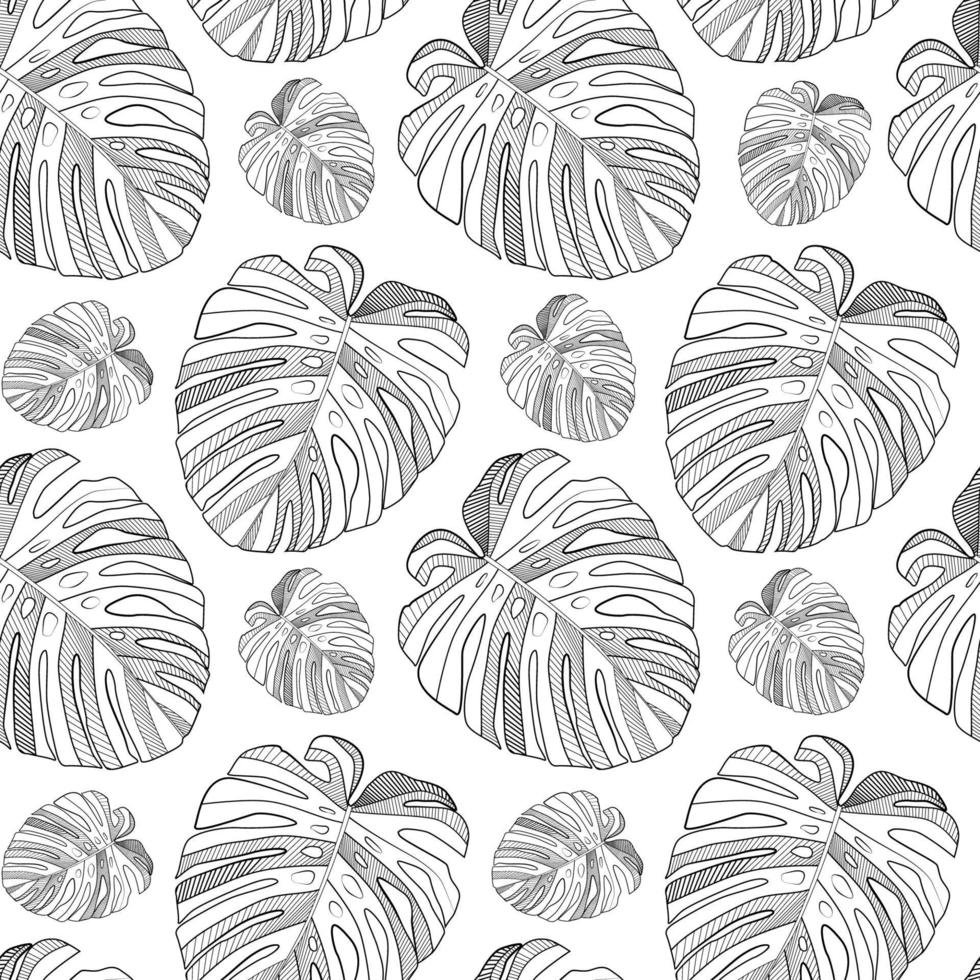 Abstract tropical monstera  leaf seamless pattern background. Vector Illustration