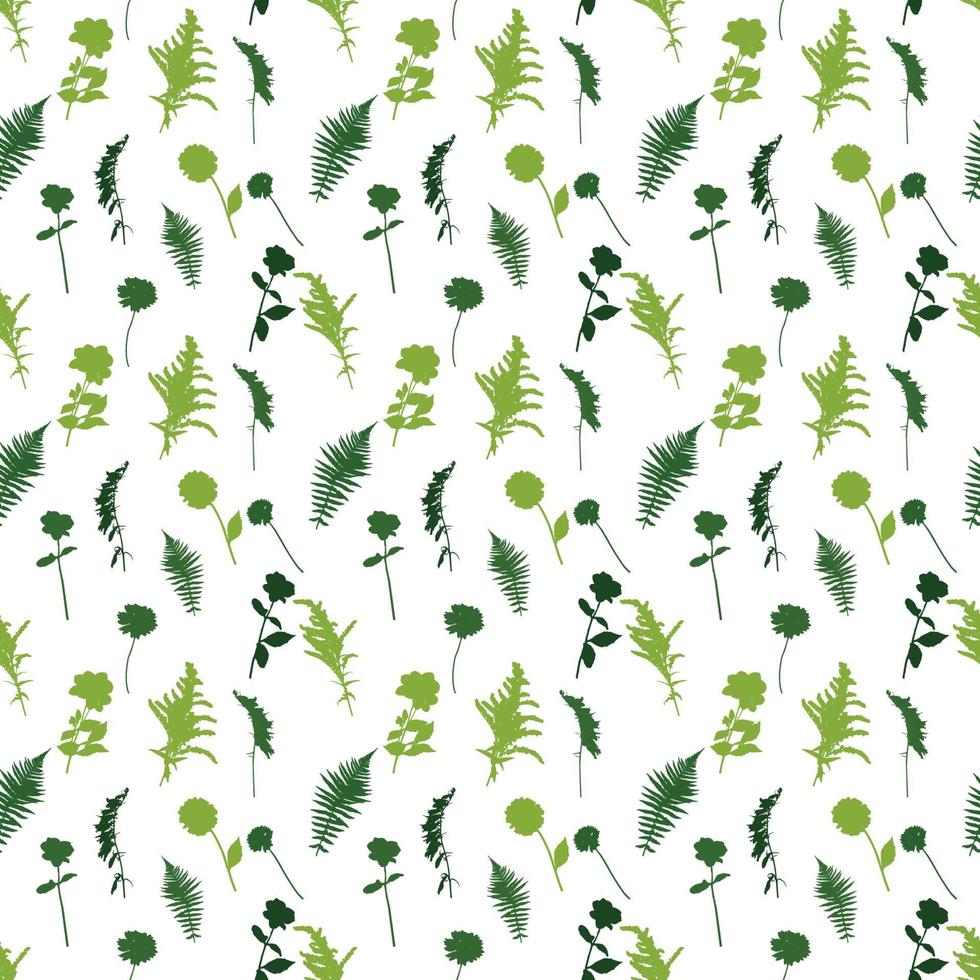 Colorful green twig fern and other plants of nature. seamless pattern. Vector Illustration