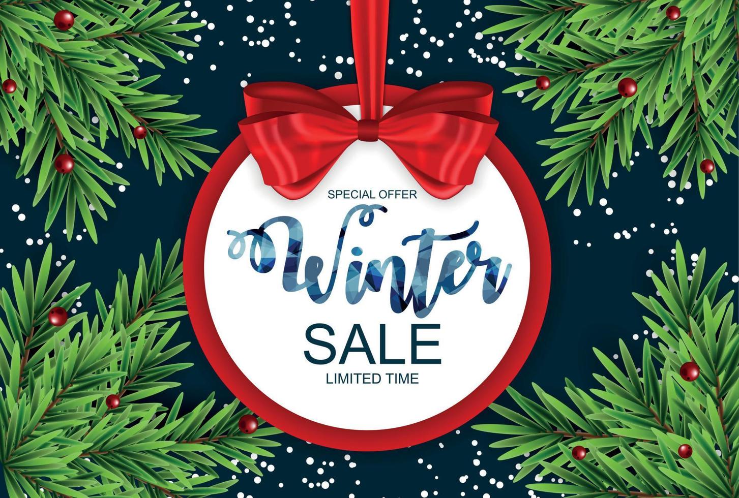 Winter Sale Background Special Offer Banner Background for Business and Advertising. Vector illustration