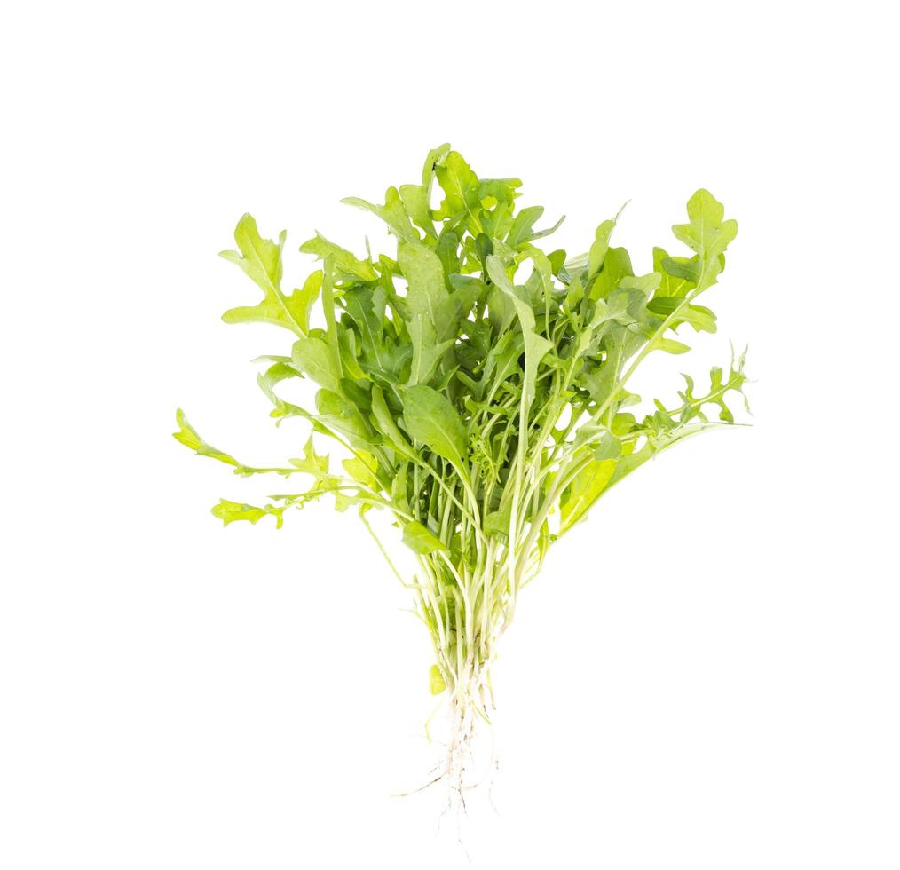 hojas verdes de rúcula aisladas sobre fondo blanco. cultivo ecológico de hortalizas foto