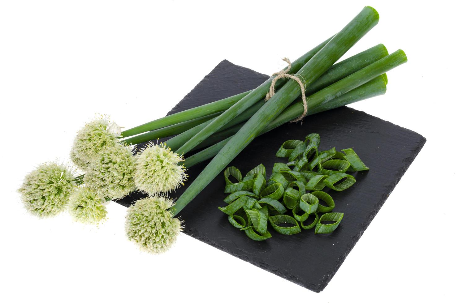 Beautiful flowering onion heads isolated on white background photo