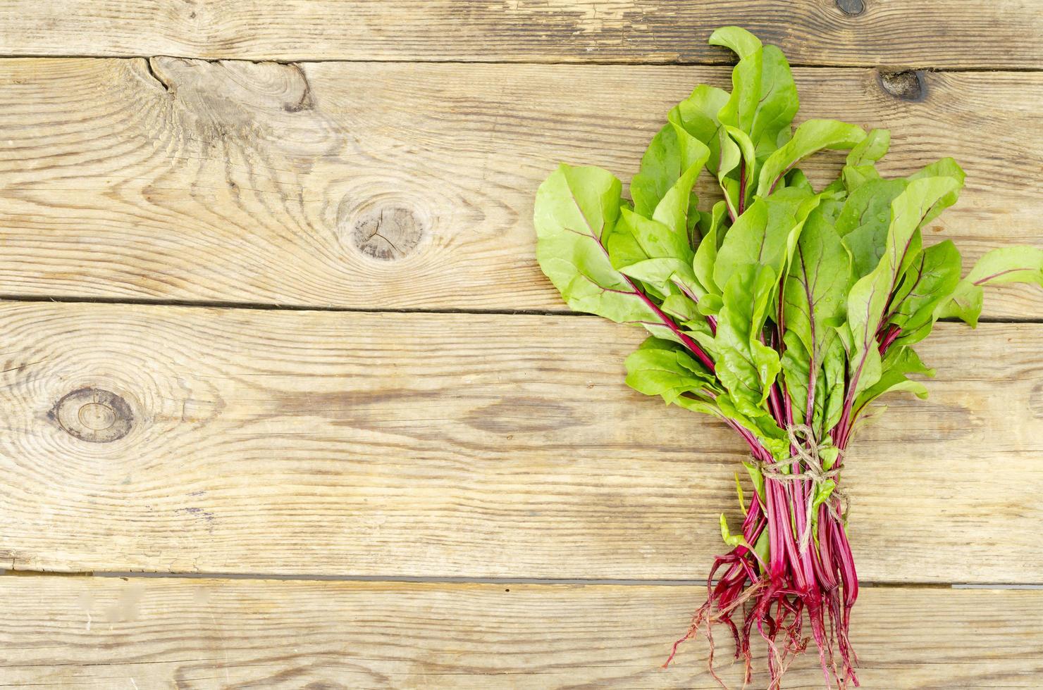 Young beetroot sprouts on wood background. Photo