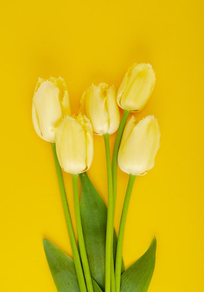 Bouquet of yellow tulips with terry edges. photo