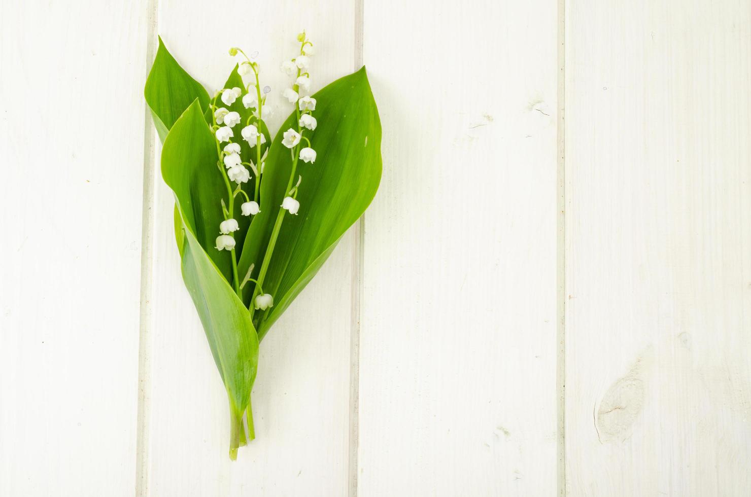 Small bunch of blooming lily of valley with white flowers. photo