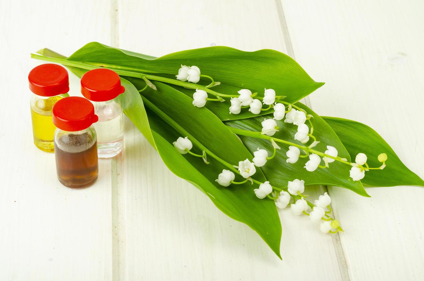 Lily of the valley, essential oil, extract, tincture, infusion, remedy, herbal capsules. Fresh flowers Convallaria majalis photo