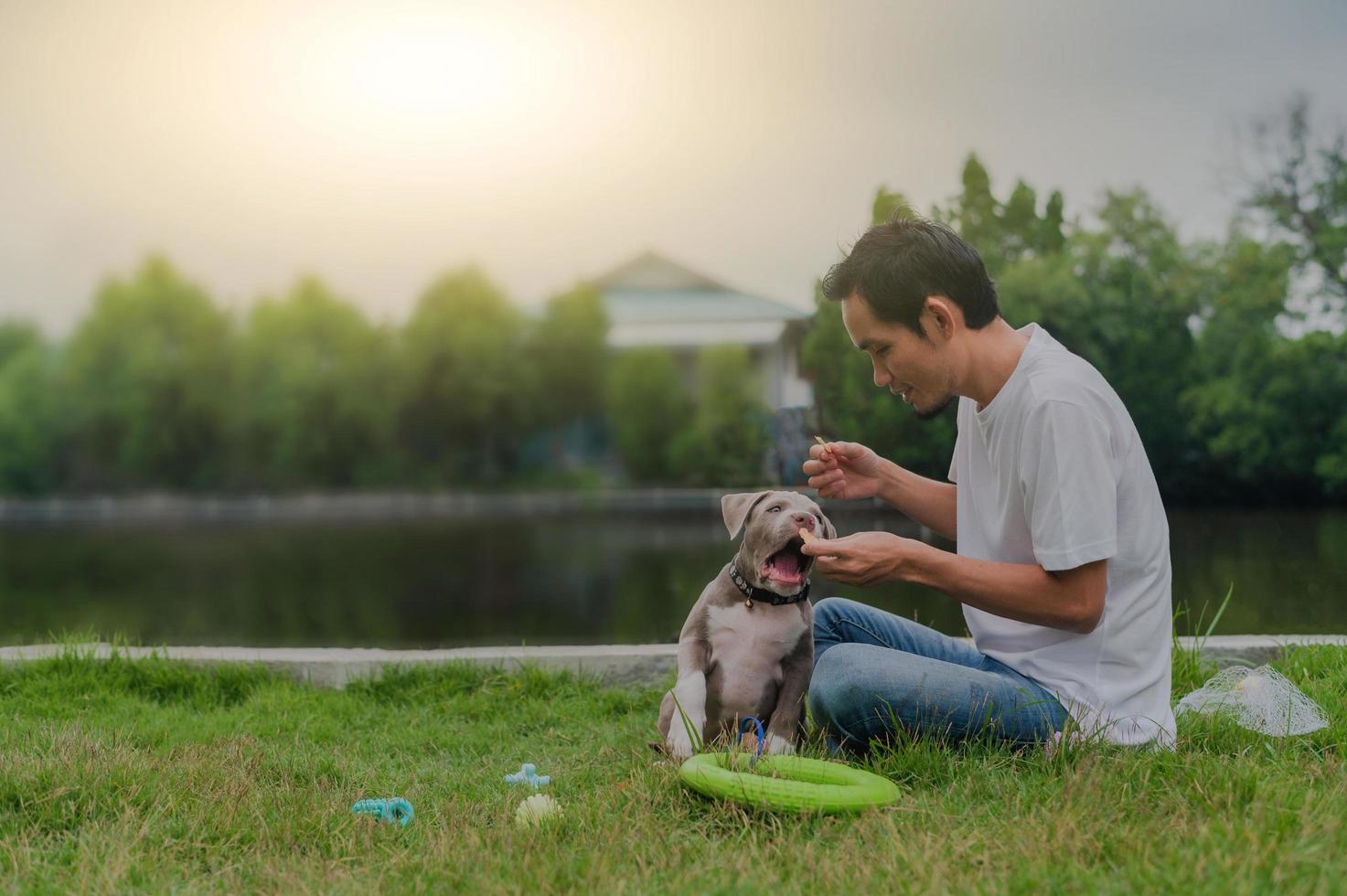 El hombre amante de las mascotas y el perro matón americano están jugando foto