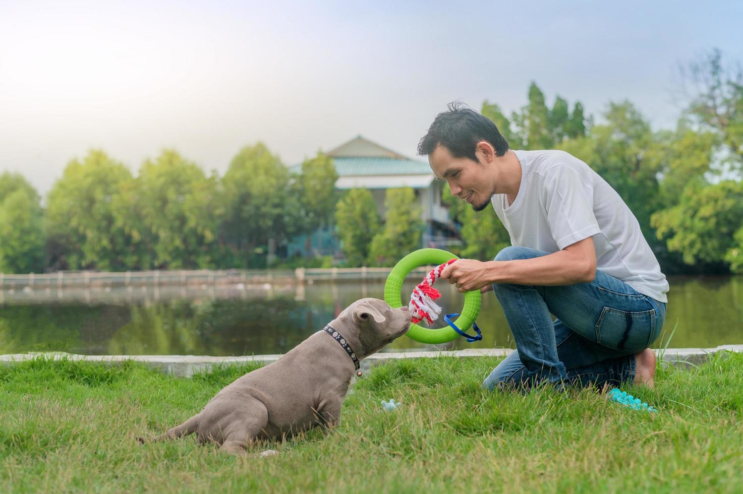 Hombre jugando con amrican bully cachorro foto