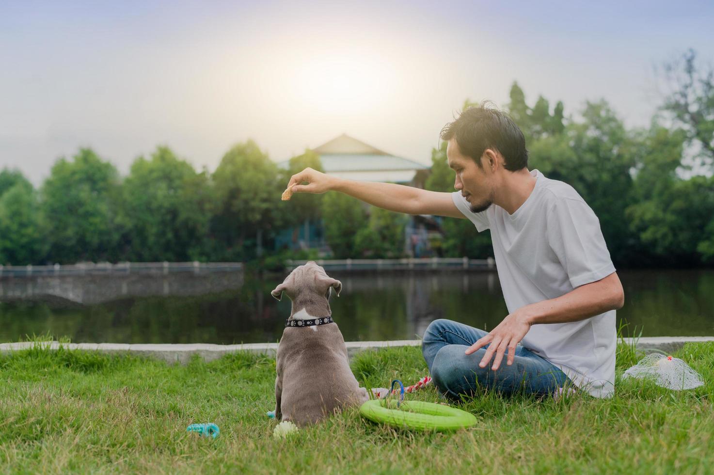 El hombre amante de las mascotas y el perro matón americano están jugando foto