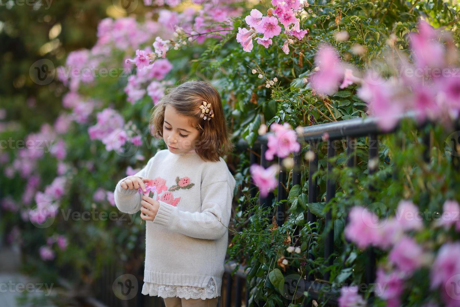 Little girl playing in a city park in autumn photo