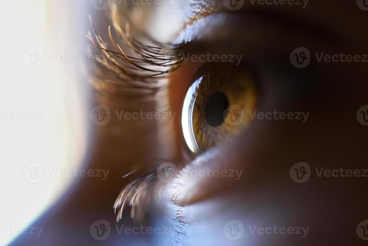 Close-up of beautiful little girl brown eye photo