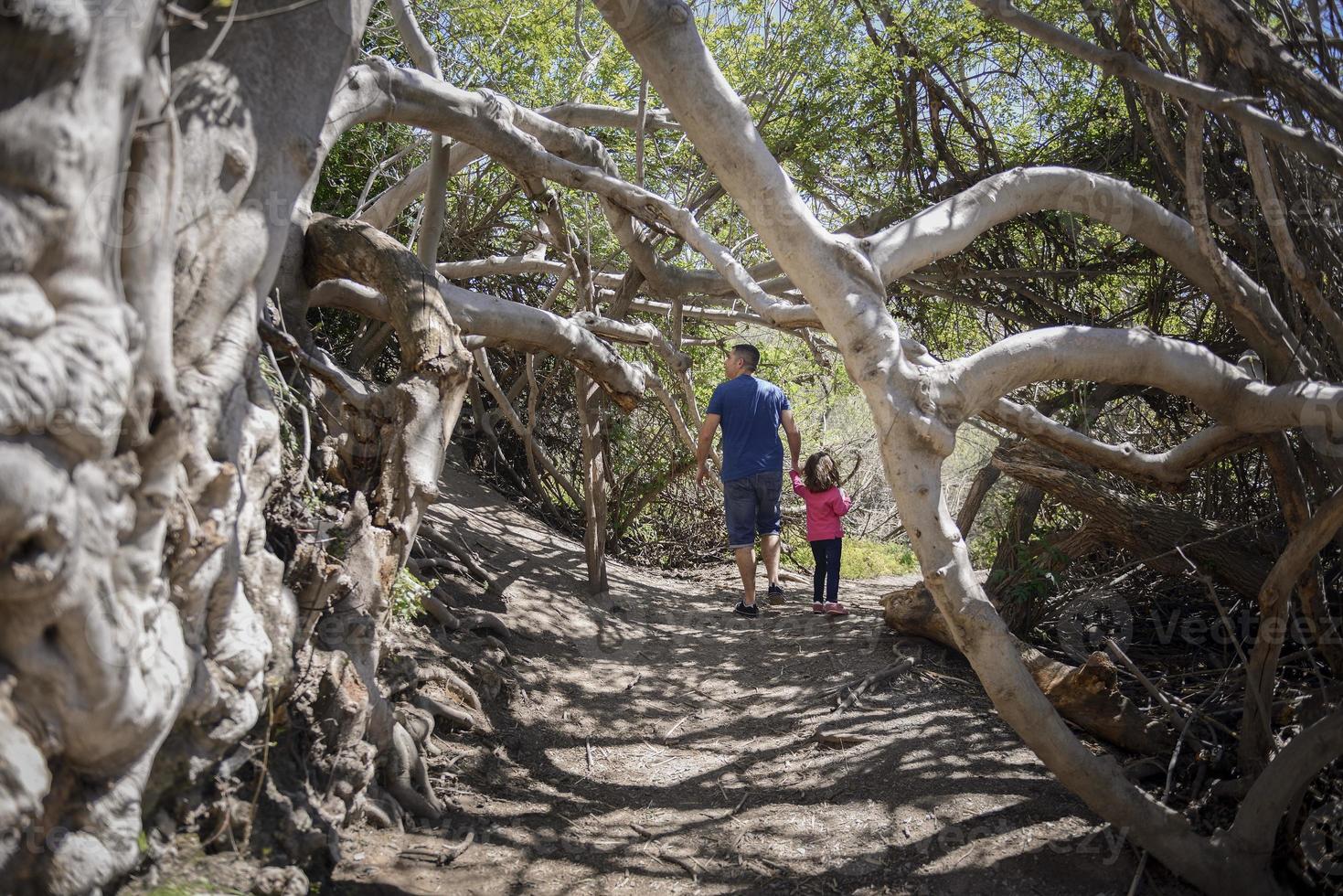 Father and little daughter walking on a path in a wetland photo