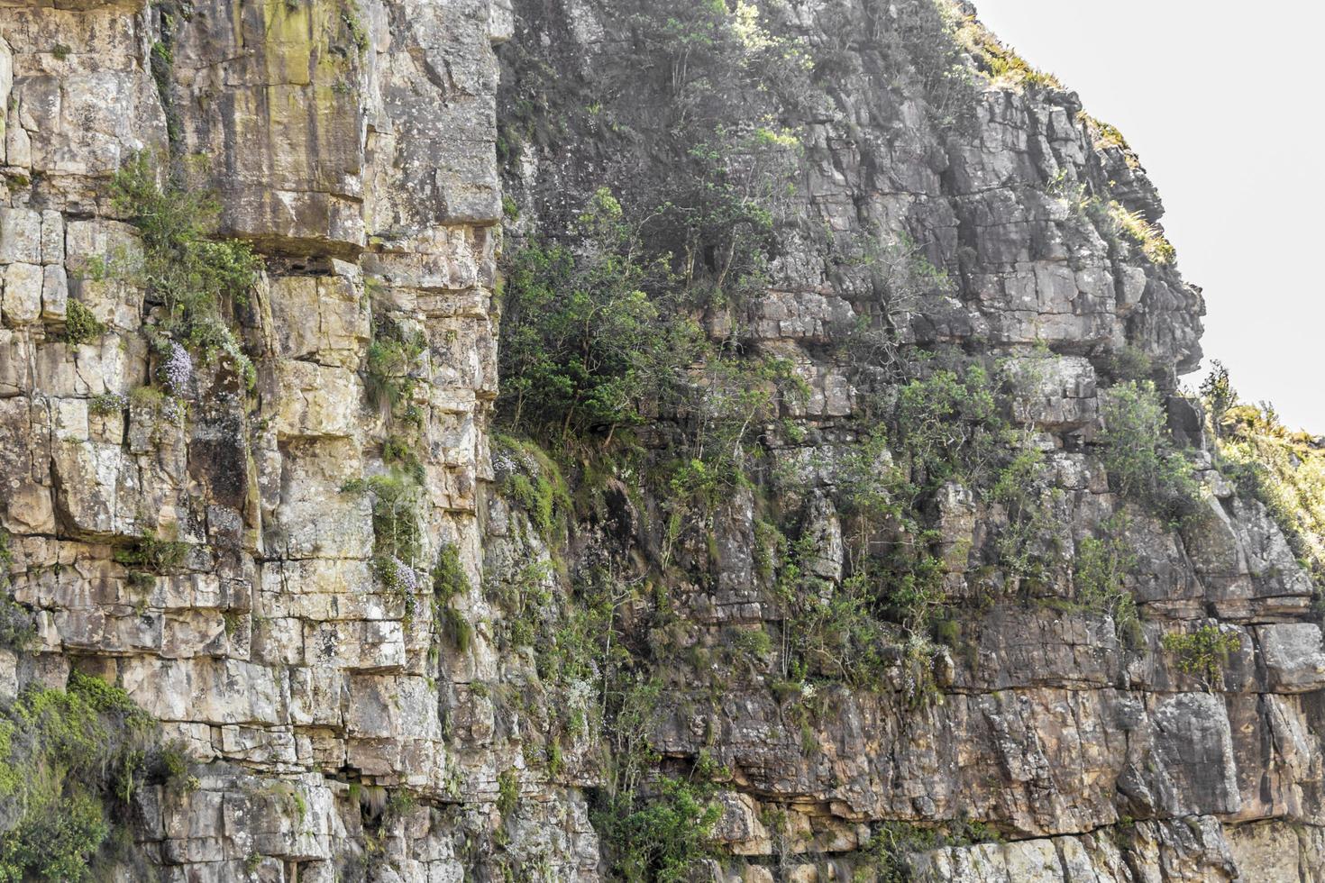 acantilados y rocas parque nacional de la montaña de la mesa ciudad del cabo, áfrica. foto