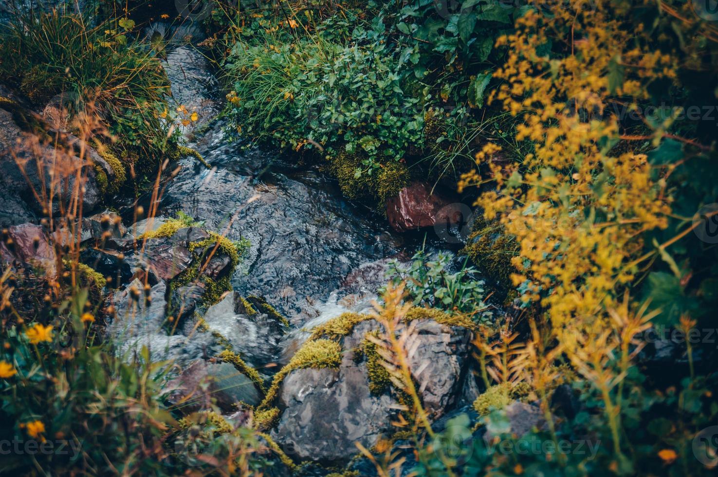 río en las montañas foto