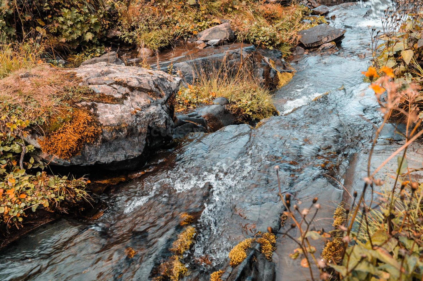 otoño en las montañas de krasnaya polyana foto