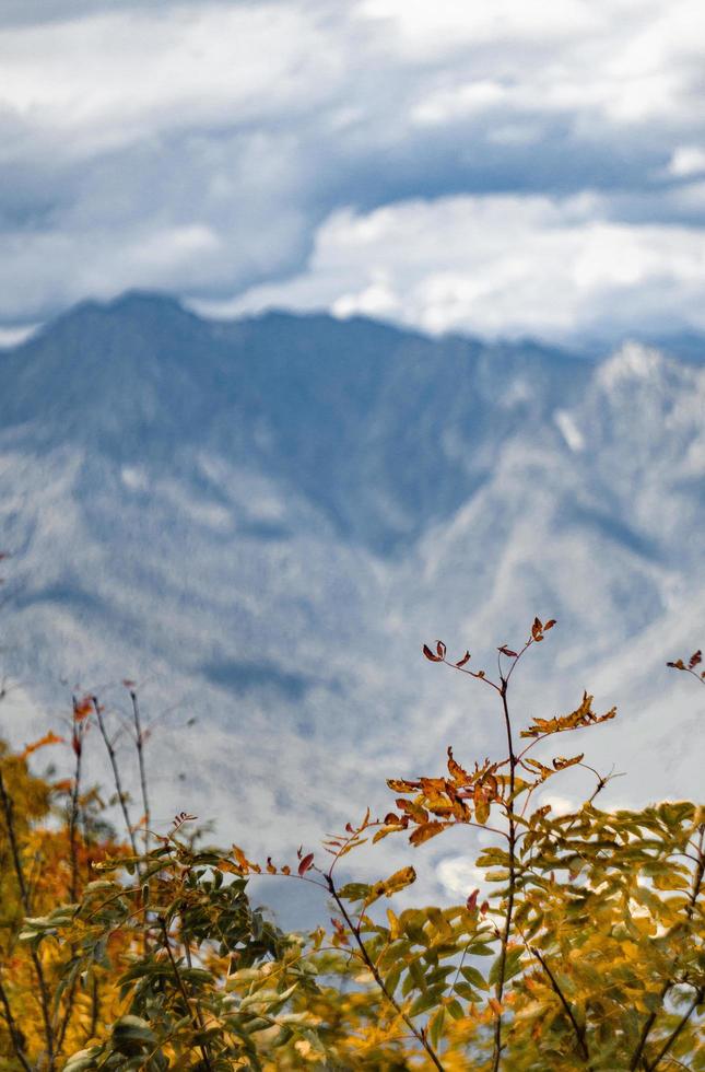 otoño en las montañas de krasnaya polyana foto