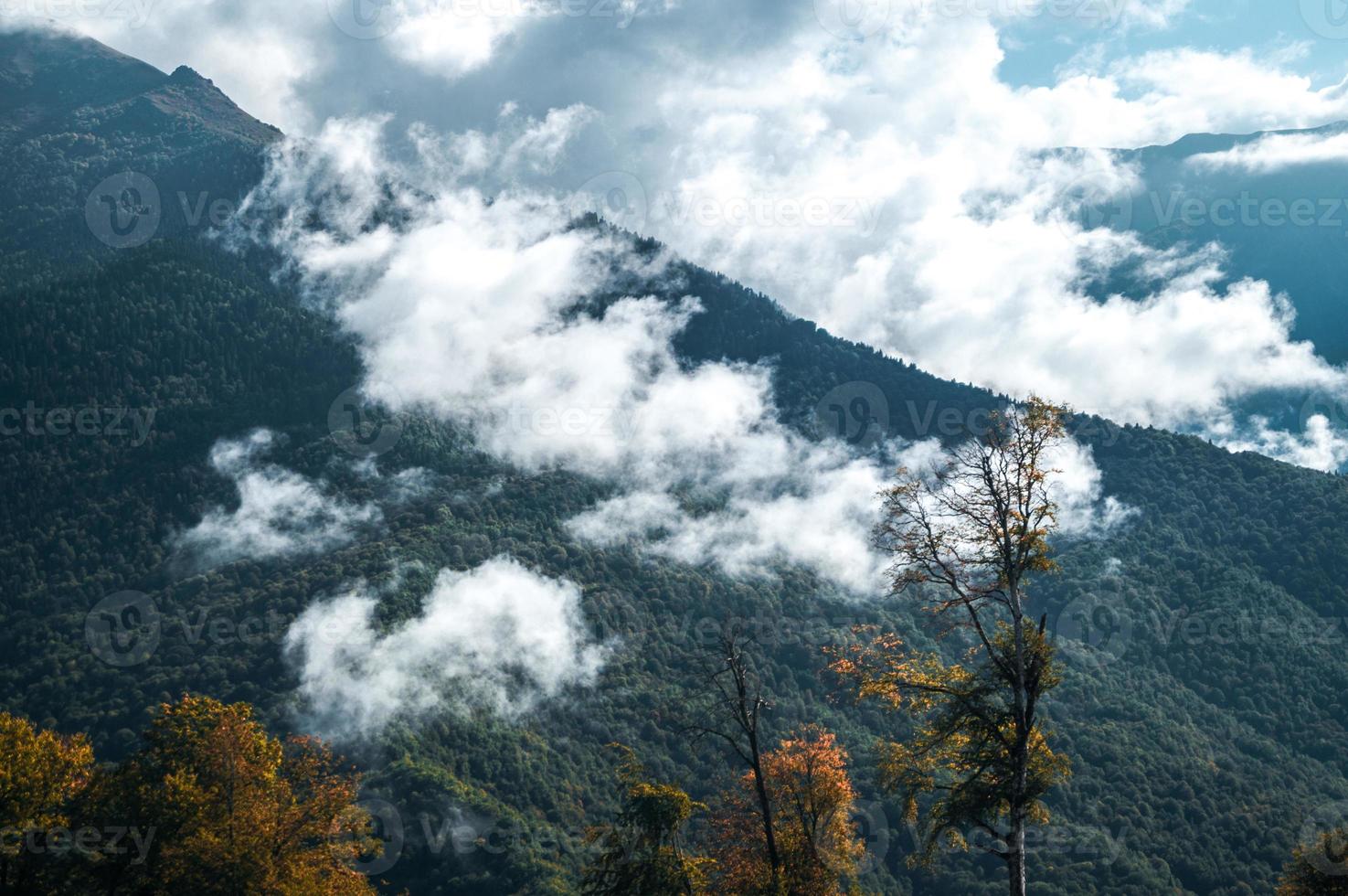 otoño en las montañas de krasnaya polyana foto