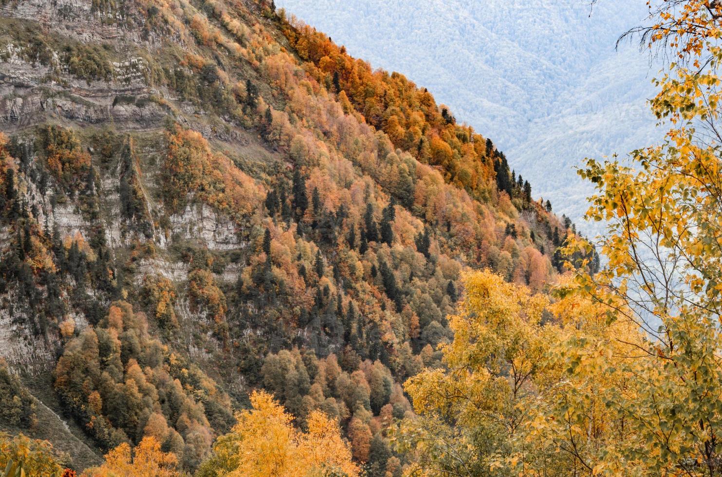 otoño en las montañas de krasnaya polyana foto