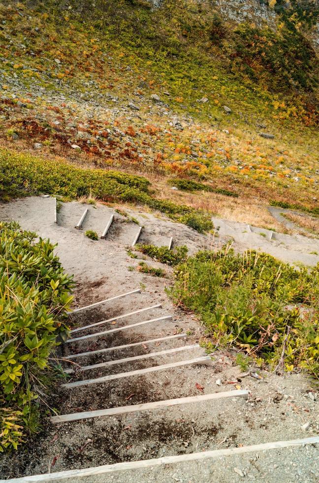 otoño en las montañas de krasnaya polyana foto