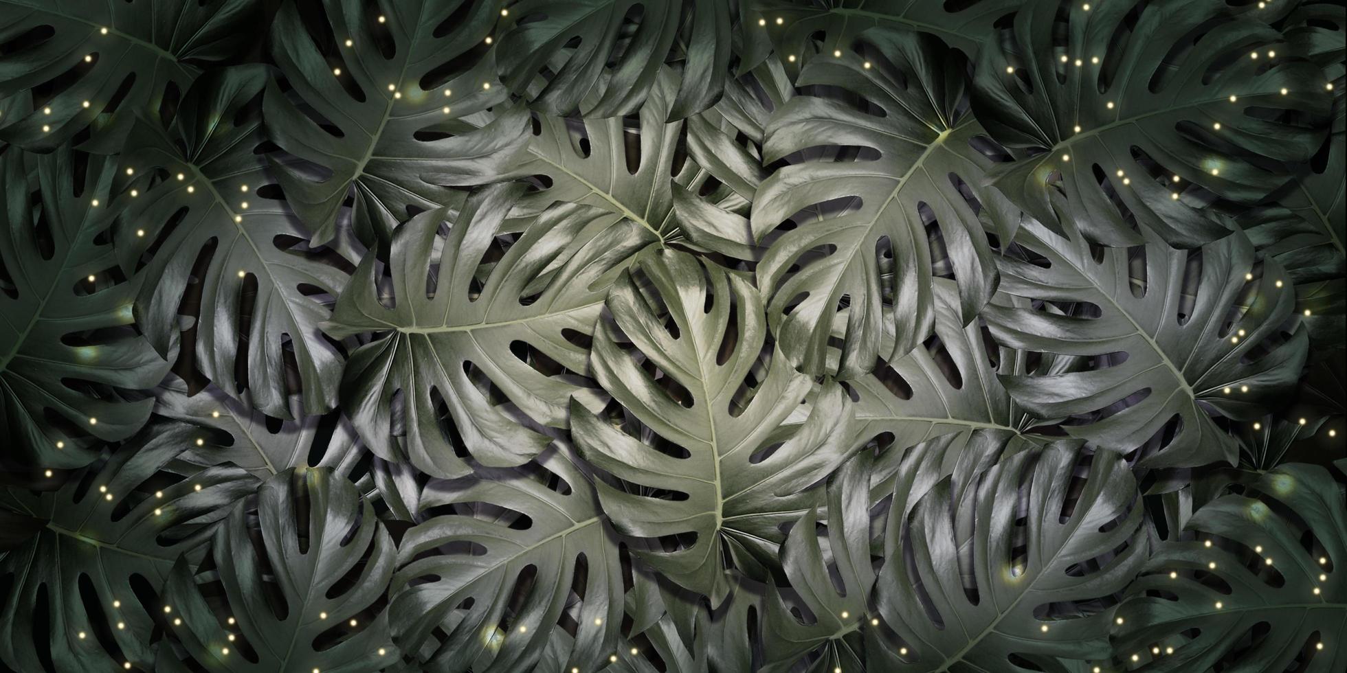 leaf background text frame natural background photo