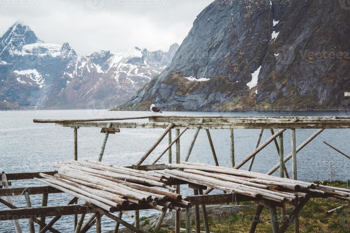 montaña de noruega en las islas lofoten. paisaje natural escandinavo foto