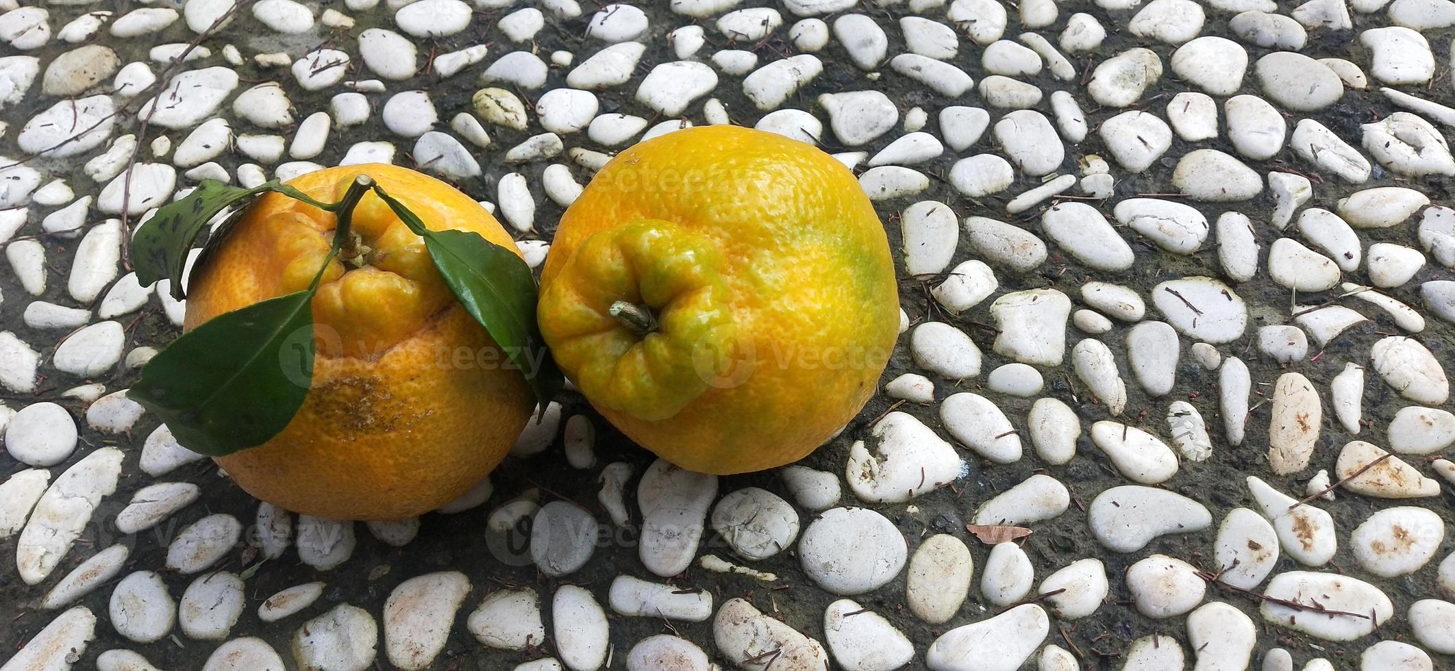 foto de naranja dulce sin semillas de japón