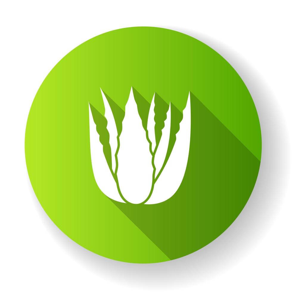 Succulent sprouts green flat design long shadow glyph icon. Growing aloe vera. Cactus leafs and medicinal herb. Decorative plant. Ingredient for vegan cosmetic. Silhouette RGB color illustration vector