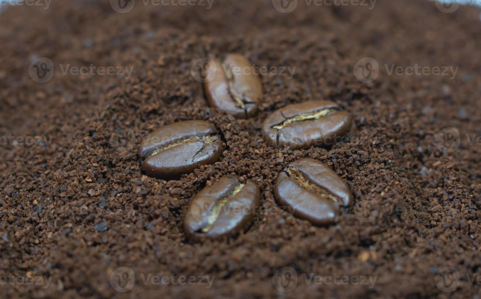 Coffee beans on a background of freshly ground coffee photo