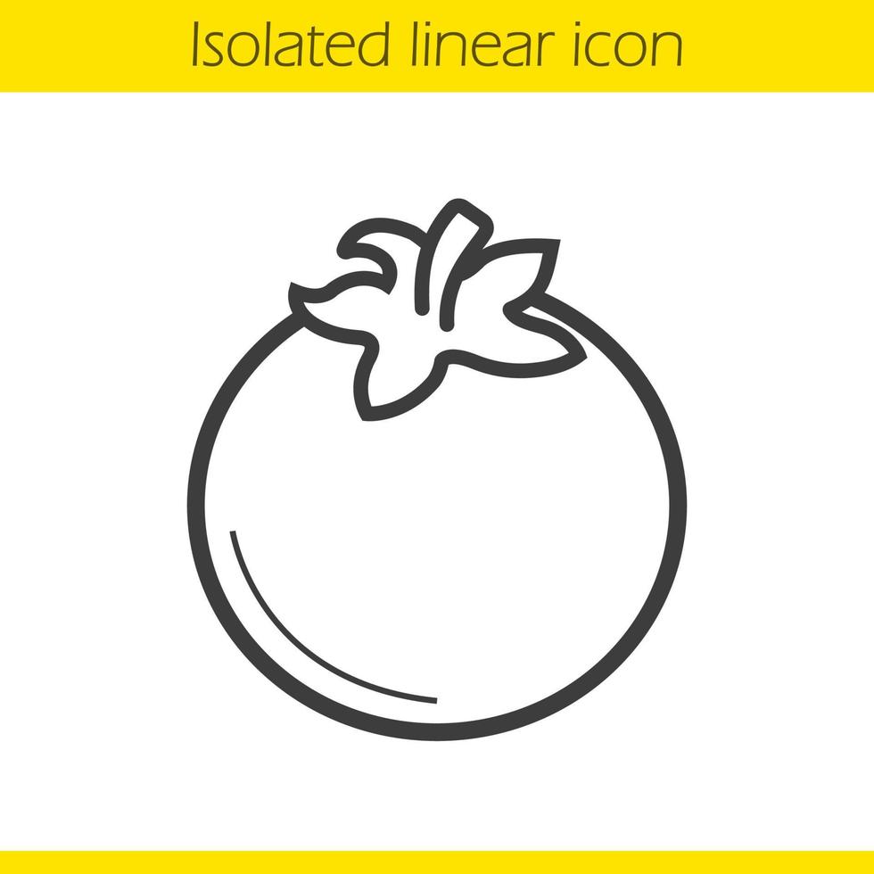 icono lineal de tomate. Ilustración de línea fina. símbolo de contorno. dibujo de contorno aislado vectorial vector