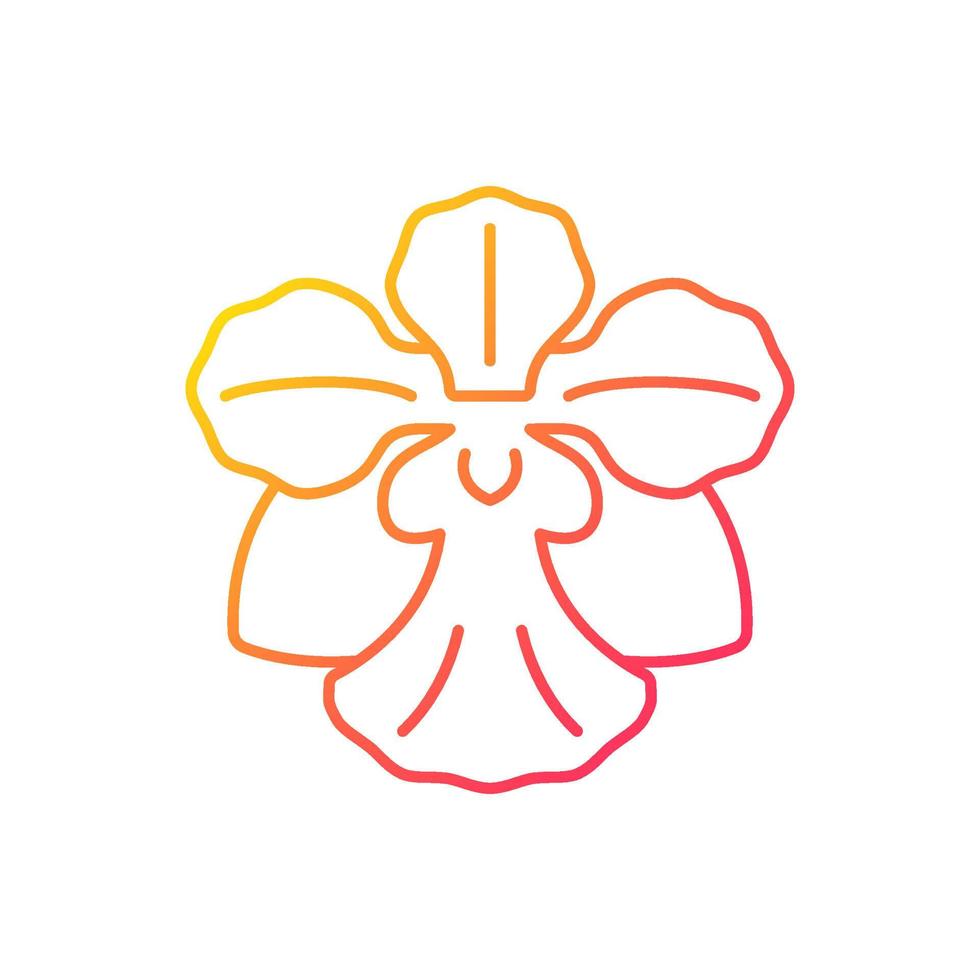 Vanda Miss Joaquim gradient linear vector icon. Singaporean national flower. Plant hybrid. Singapore orchid. Thin line color symbol. Modern style pictogram. Vector isolated outline drawing