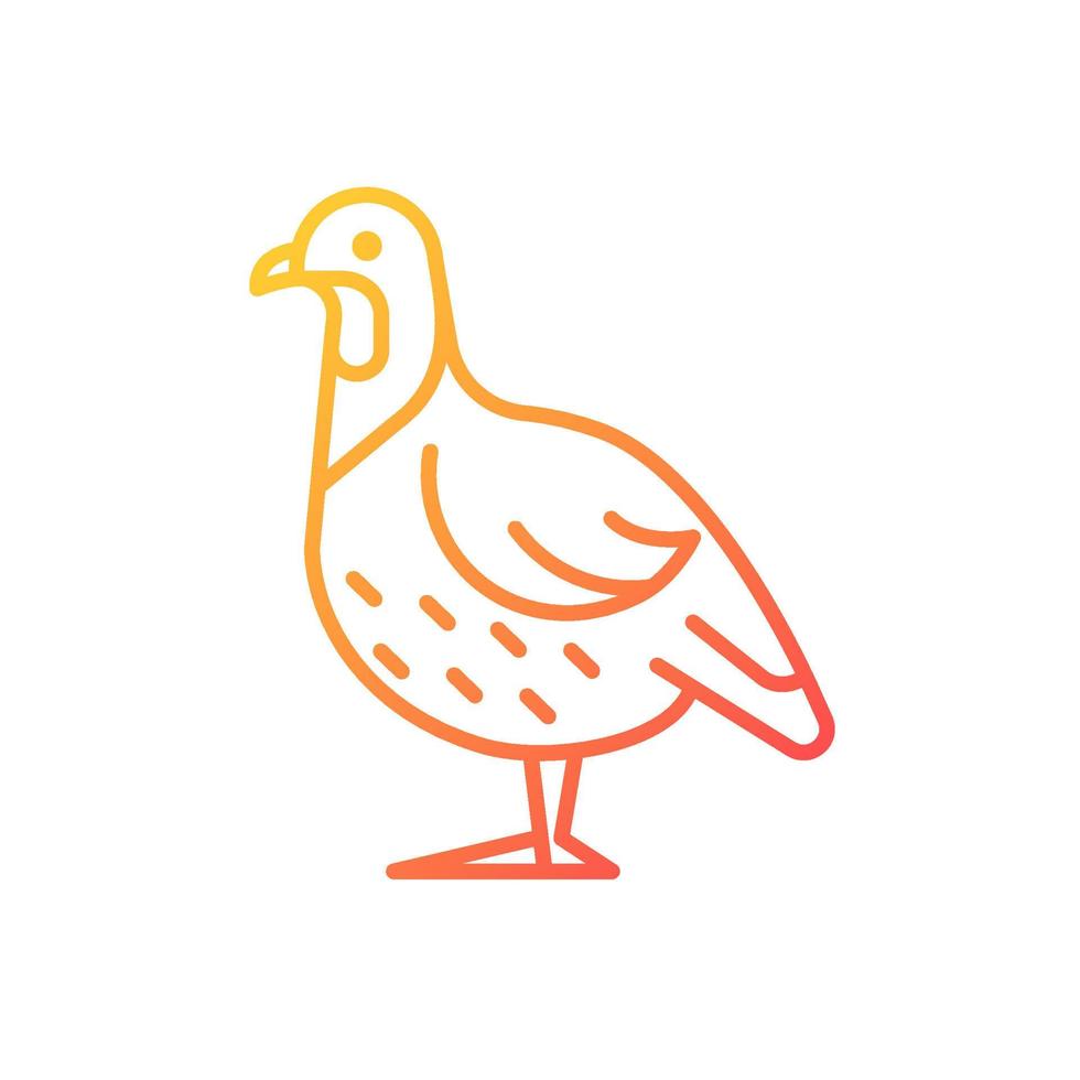 Partridge gradient linear vector icon. Small domestic fowl. Commercial poultry raising for food. Livestock husbandry. Thin line color symbol. Modern style pictogram. Vector isolated outline drawing