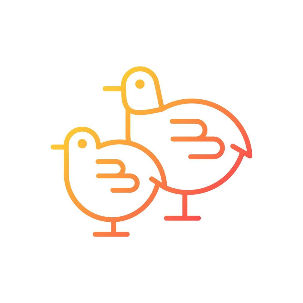 polluelos gradiente icono de vector lineal. pequeños pájaros recién nacidos esponjosos. pollo amarillo. crianza comercial de aves de corral en incubadora. símbolo de color de línea delgada. pictograma de estilo moderno. dibujo de contorno aislado vectorial