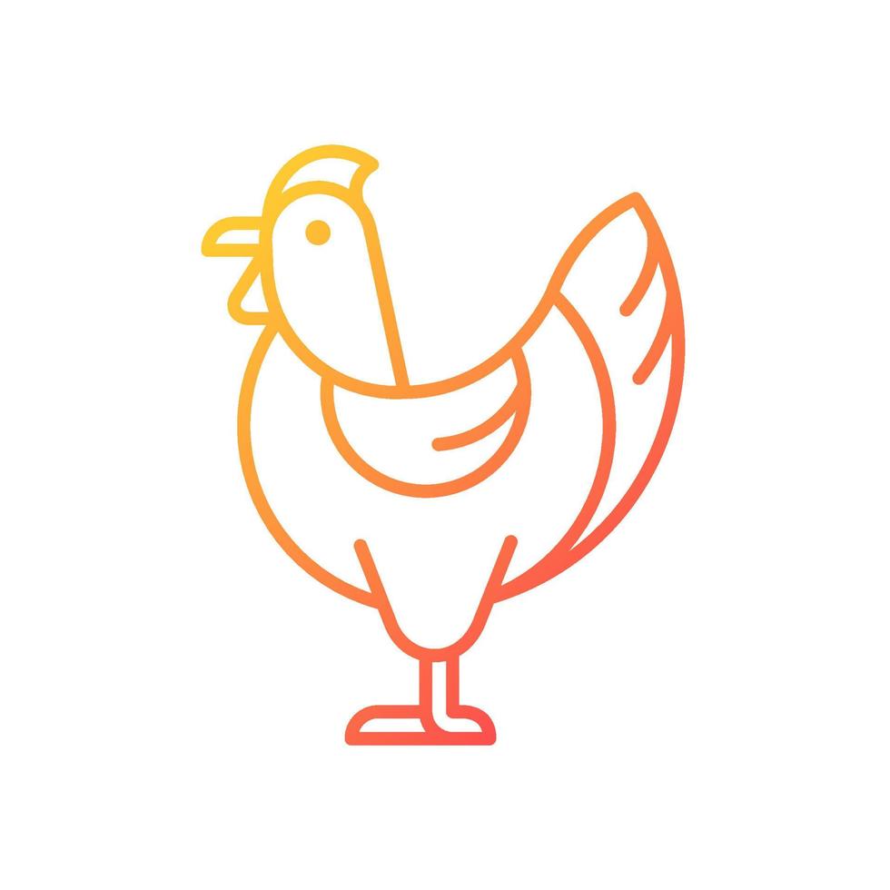 Hen gradient linear vector icon. Female chicken. Broiler and layer pullet.  Nesting yardbird. Chicken for food and eggs. Thin line color symbol. Modern  style pictogram. Vector isolated outline drawing 4527735 Vector Art