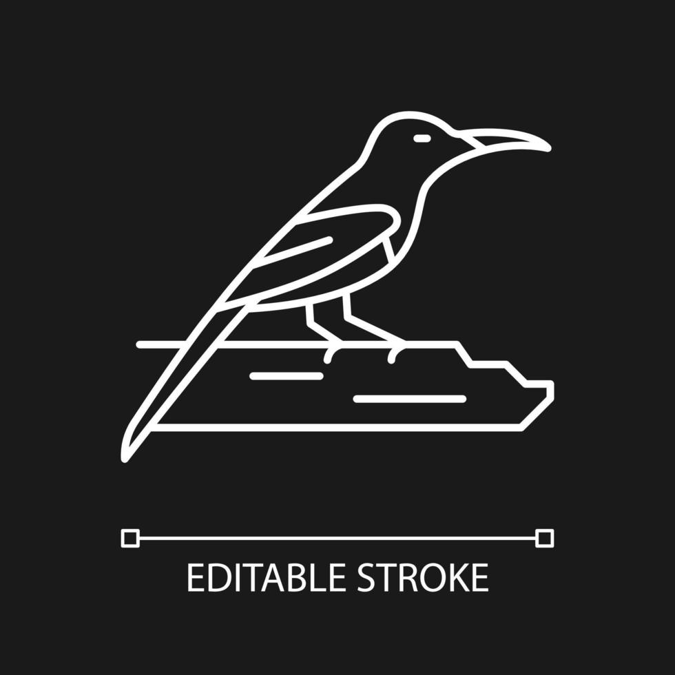 Crimson sunbird white linear icon for dark theme. Tropical asian bird. Singapore national symbol. Thin line customizable illustration. Isolated vector contour symbol for night mode. Editable stroke