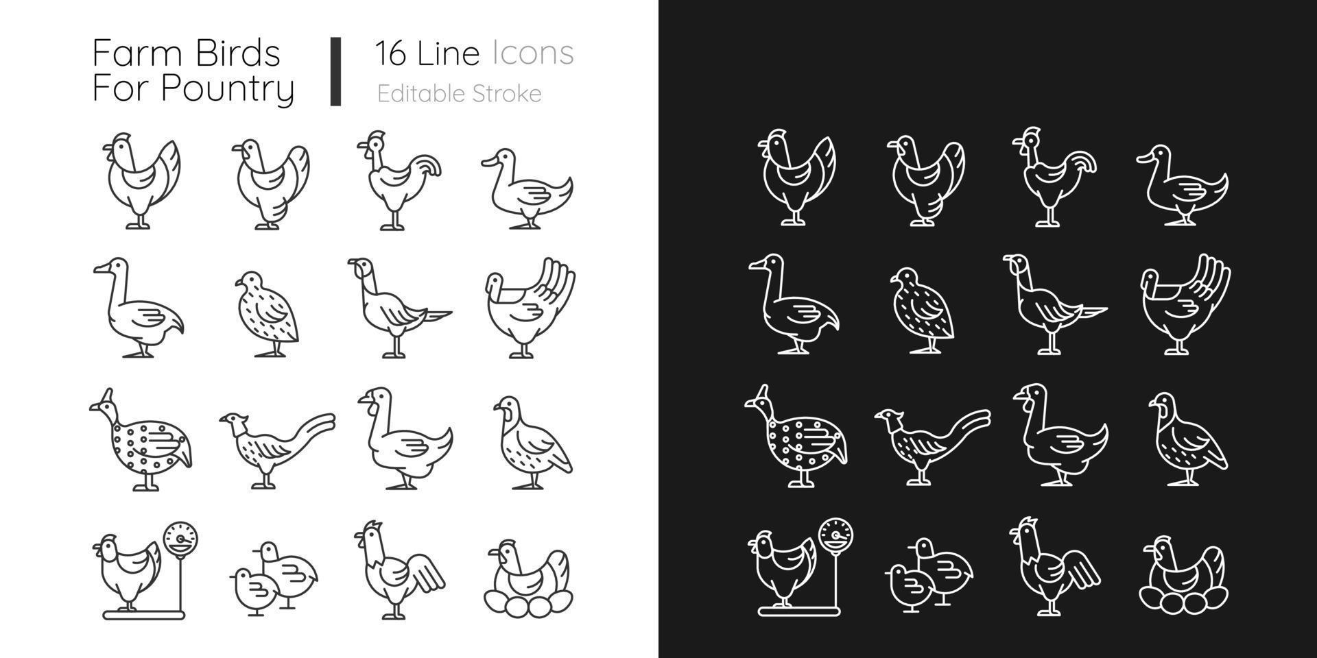 Farm birds for poultry linear icons set for dark and light mode. Domestic birds. Ducks and geese husbandry. Customizable thin line symbols. Isolated vector outline illustrations. Editable stroke