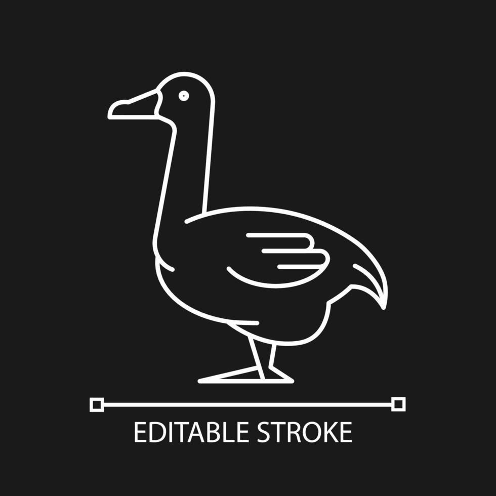 Goose linear icon for dark theme. Poultry farming. Commercial geese growing. Canadian, white goose. Thin line customizable illustration. Isolated vector contour symbol for night mode. Editable stroke