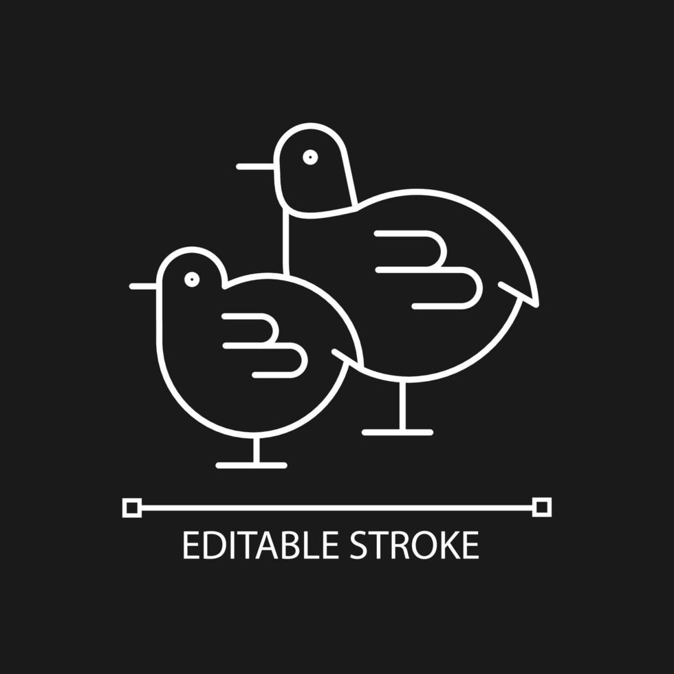 Chicks linear icon for dark theme. Small fluffy birds. Yellow baby chicken. Livestock husbandry. Thin line customizable illustration. Isolated vector contour symbol for night mode. Editable stroke