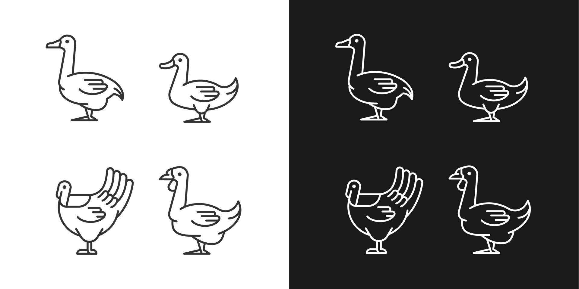 iconos lineales de aves acuáticas configurados para el modo oscuro y claro. crianza de patos y gansos. pavo en crecimiento. cría de ganado. símbolos de línea fina personalizables. ilustraciones de contorno de vector aislado. trazo editable