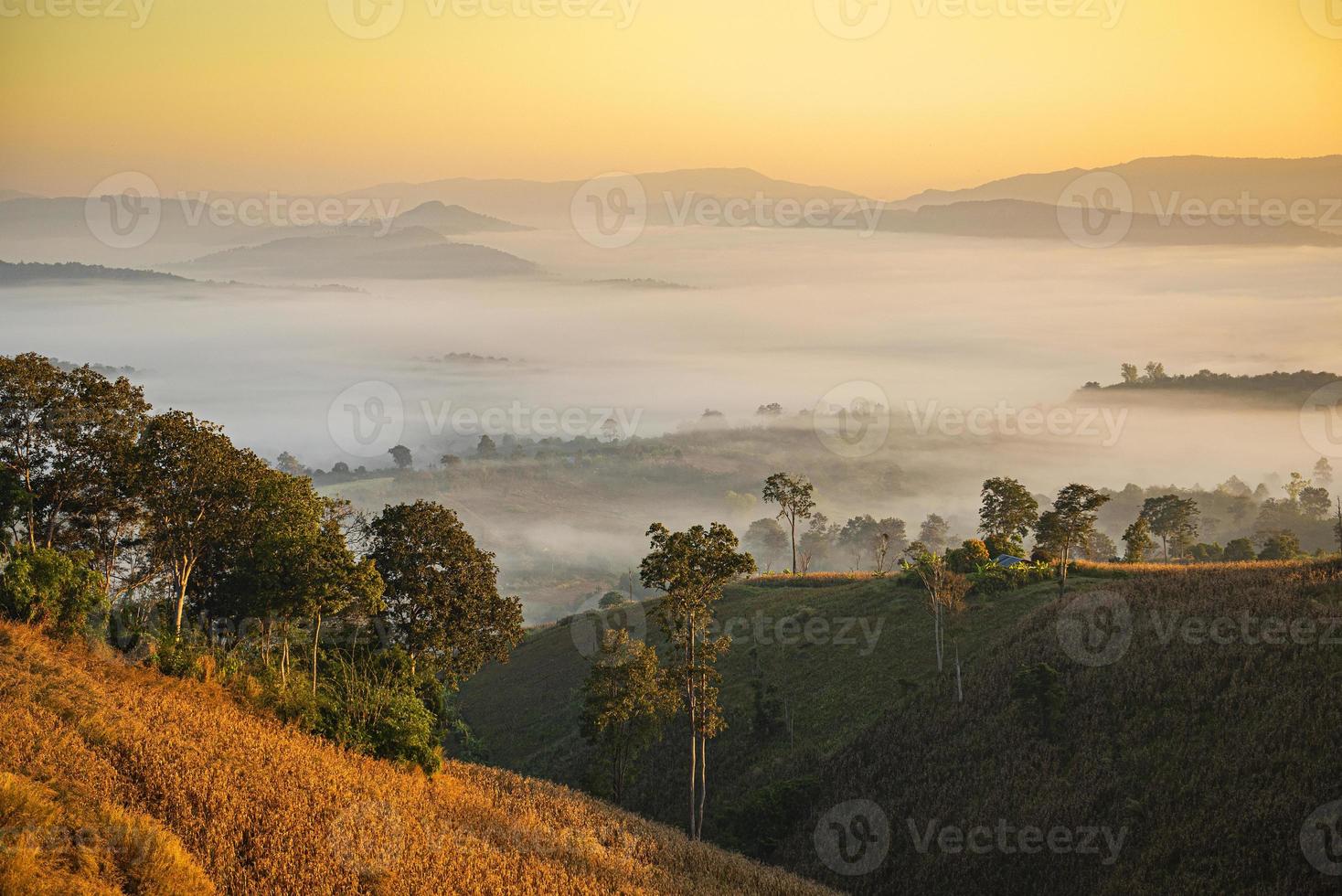 foggy landscape forest in the morning beautiful sunrise mist cover mountain background at countryside winter. photo