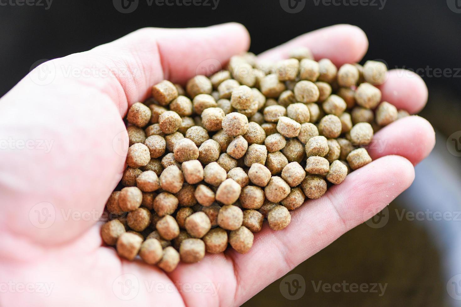 alimentar a los peces, cerrar pellets marrones alimentos para peces en la mano foto