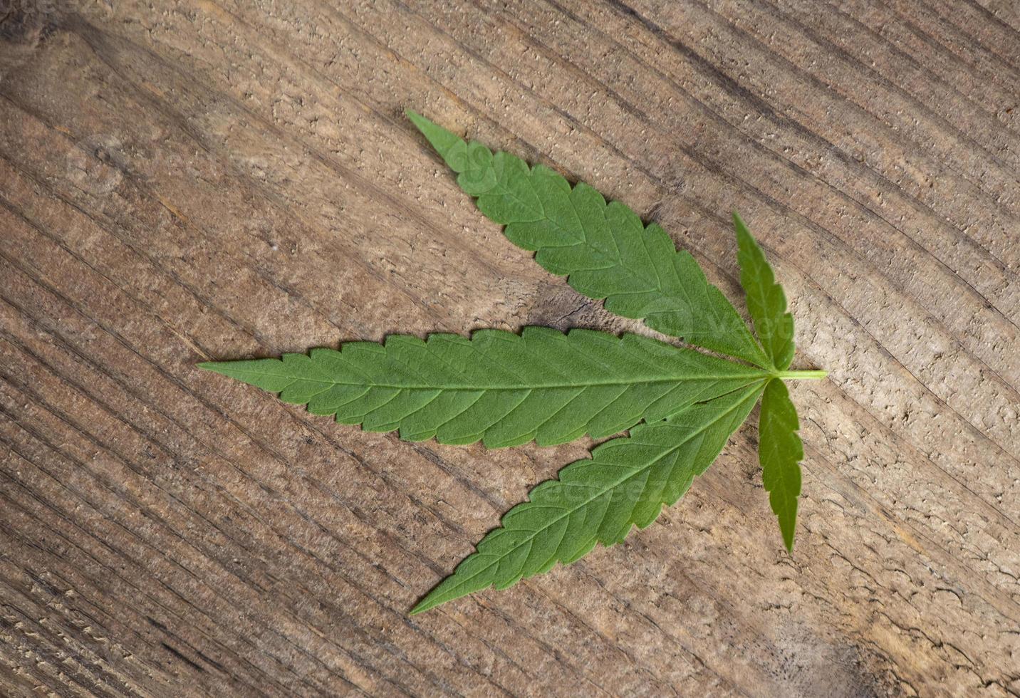 Hoja de cannabis sobre fondo de madera, hojas de marihuana, planta de cannabis, cáñamo, té cbd foto