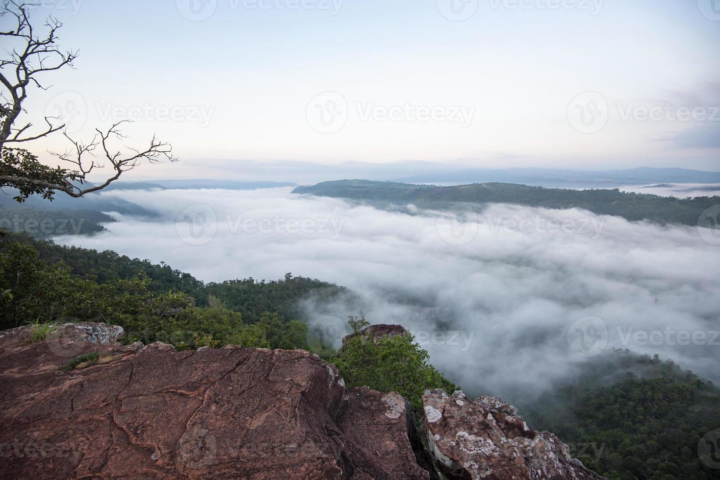 niebla de la mañana brumosa en el valle hermoso en Tailandia asiático - paisaje brumoso niebla de montaña y vista del árbol del bosque en la parte superior foto