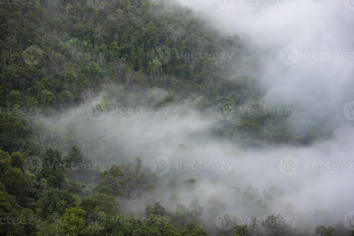 Foggy morning mist in valley beautiful in Thailand Asian - Misty landscape mountain fog and forest tree view on top photo