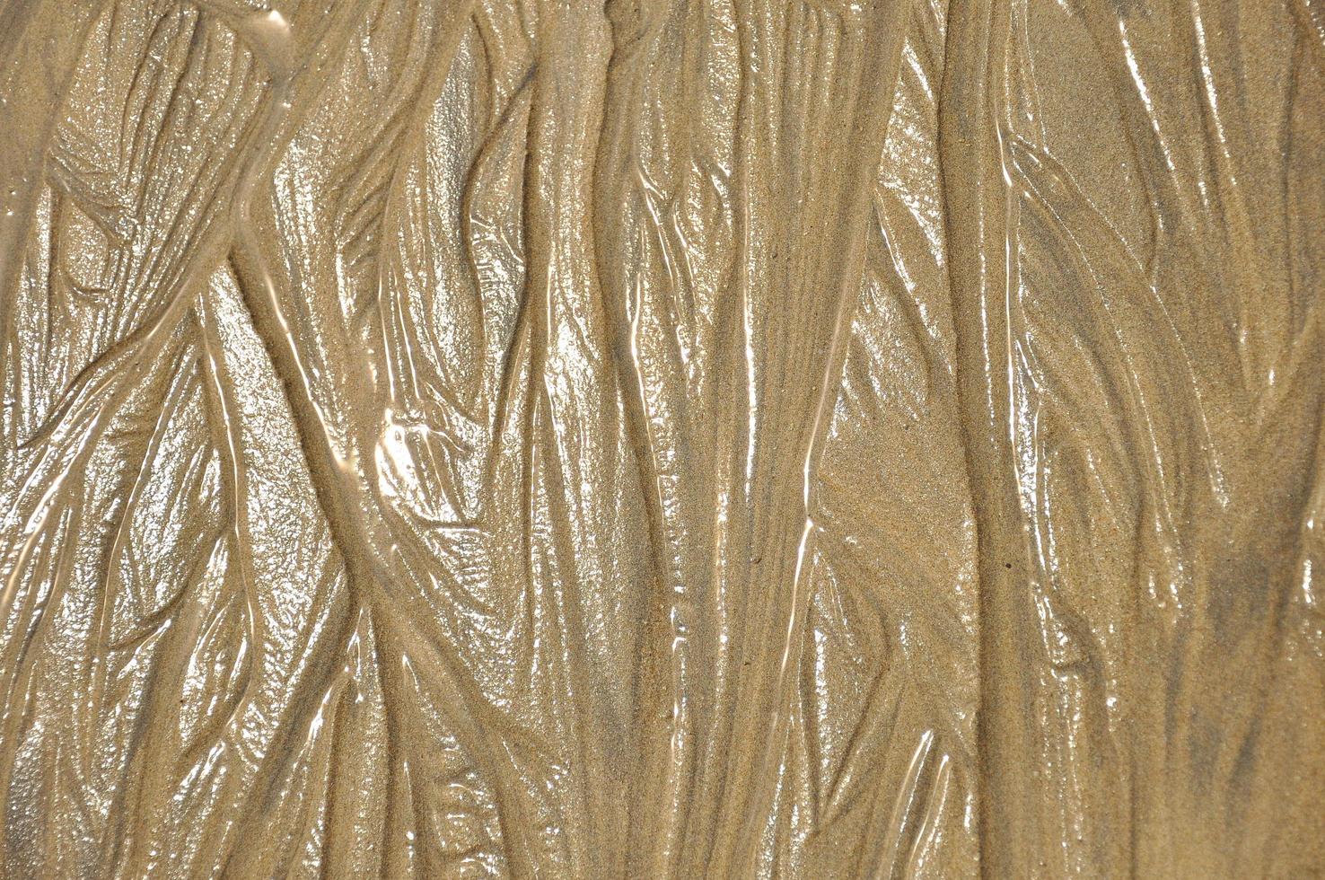 Wet sand with lines photo